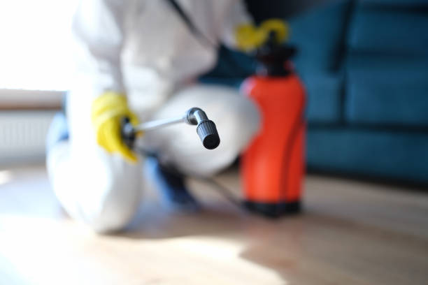 Best Mold Removal for HVAC Installations  in Sebastopol, CA